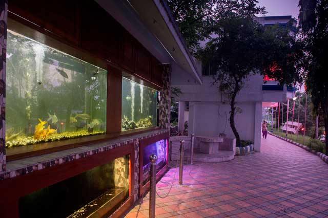 State Fisheries Development Corporation Ltd. (SFDC)